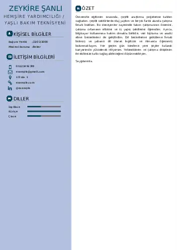 Hasta ve Yaşlı Bakım Elemanı Cv Örnekleri cv indir